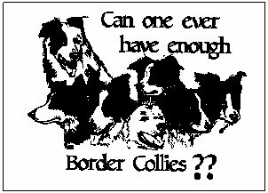 (Can anyone have enough border collies ??)