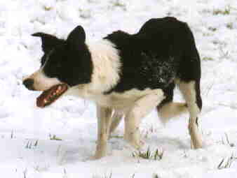 Picture of Jane in the snow